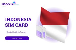 indonesia sim cards