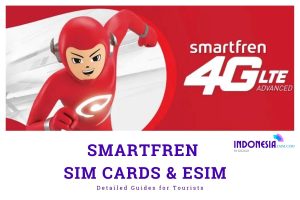 smartfren sim card