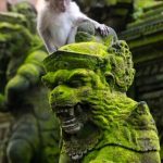 Indonesia eSIM Unlimited Data