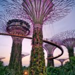 Singapore Indonesia eSIM